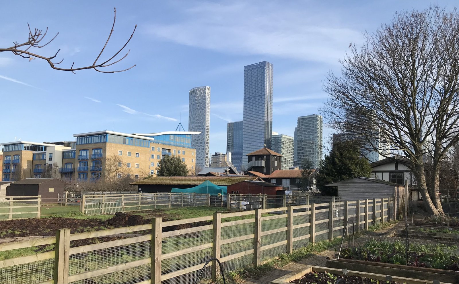 Surrey Docks Farm overview